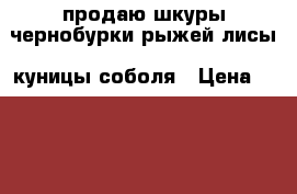 продаю шкуры чернобурки.рыжей лисы .куницы.соболя › Цена ­ 7 000 - Все города Хобби. Ручные работы » Одежда   . Белгородская обл.,Белгород г.